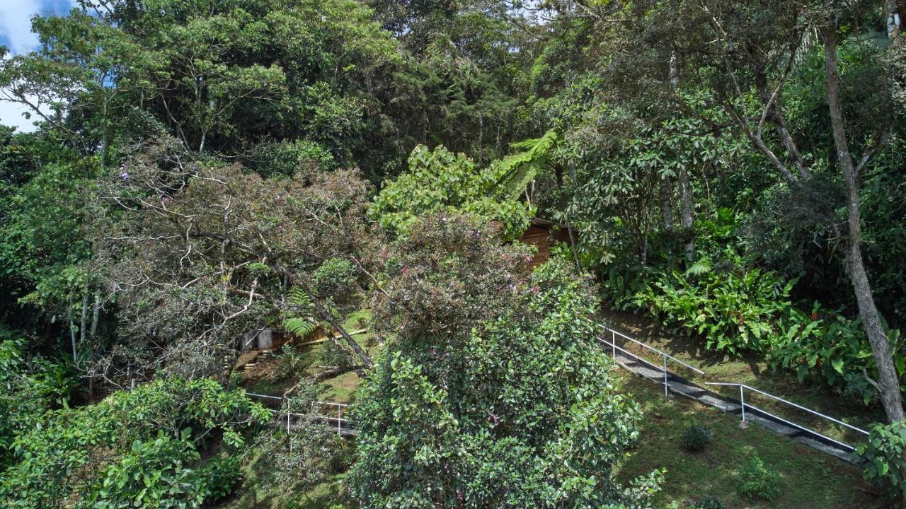 Bosque De Niebla Birding & Nature Cali Exterior foto